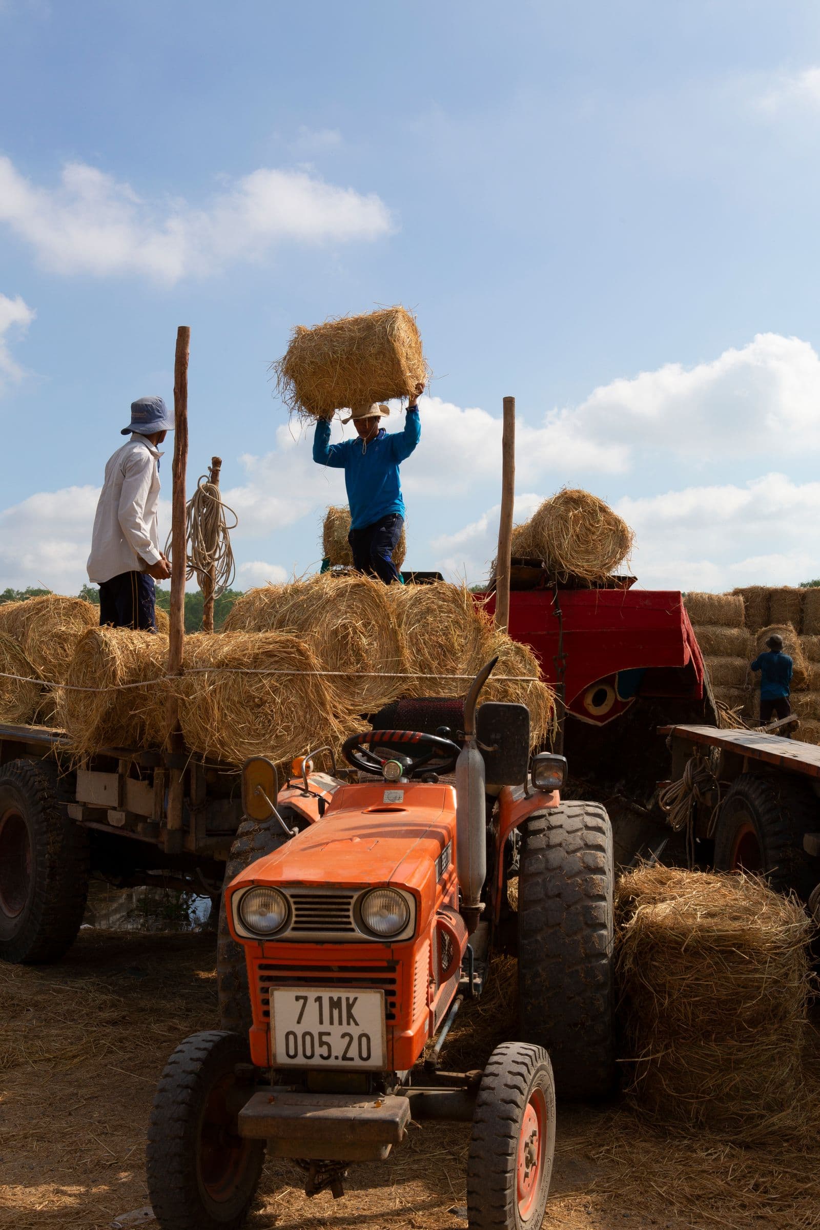 Workers loading collected straw bales onto farm machinery