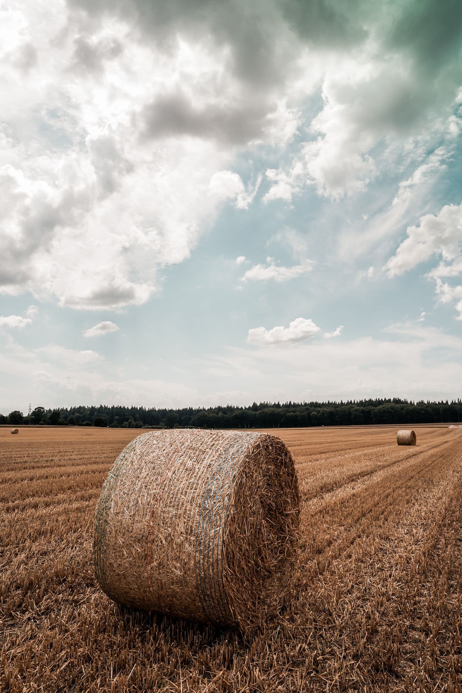Straw bales in a harvested wheat field under a cloudy sky