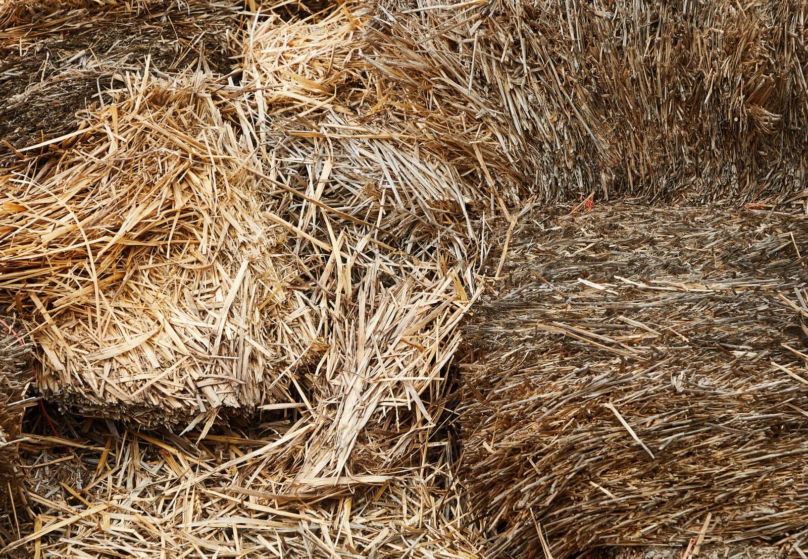 Dry hay bales stacked together in a barn